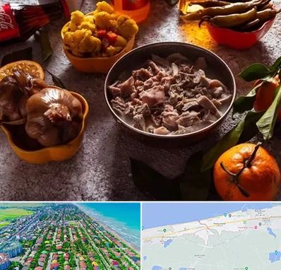 طباخی در فریدونکنار