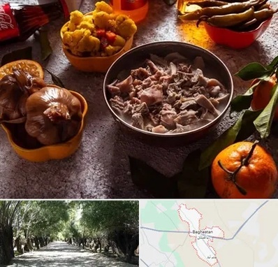 طباخی در باغستان