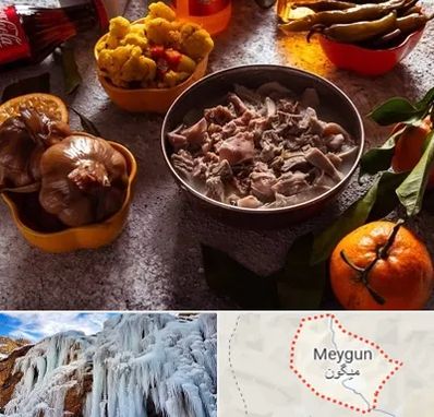 طباخی در میگون