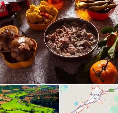 طباخی در نکا