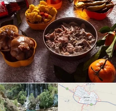 طباخی در شیروان