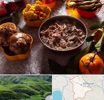 طباخی در گچساران