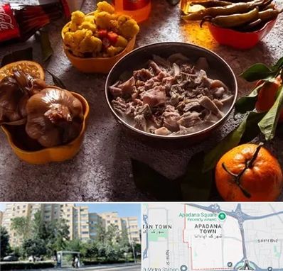 طباخی در آپادانا