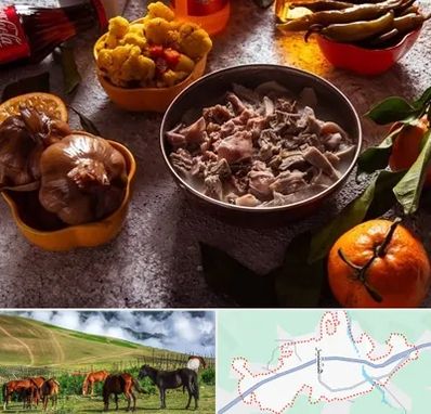 طباخی در تالش