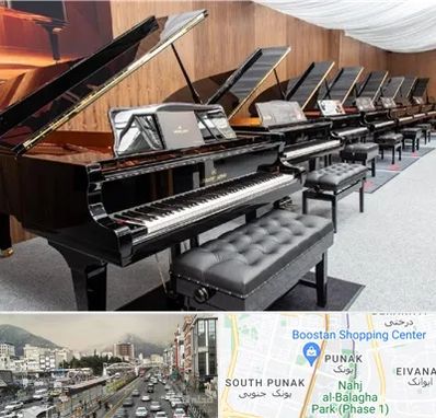فروش پیانو در پونک 