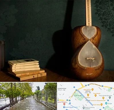 فروش ساز تار در خیابان ارم شیراز