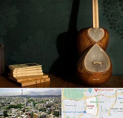 فروش ساز تار در گیشا 