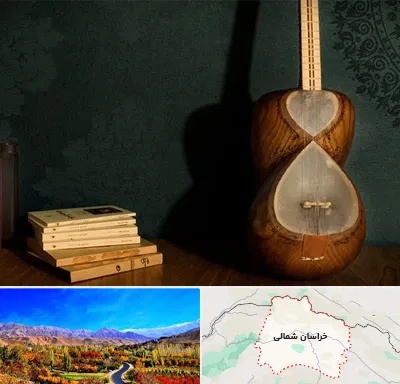 فروش ساز تار در خراسان شمالی