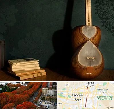 فروش ساز تار در ولیعصر 