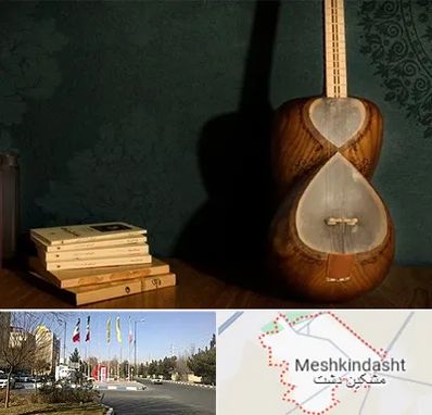فروش ساز تار در مشکین دشت