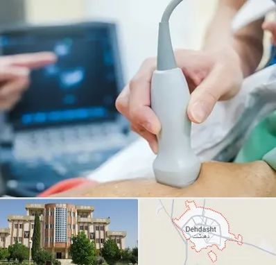 اکو قلب شبانه روزی در دهدشت