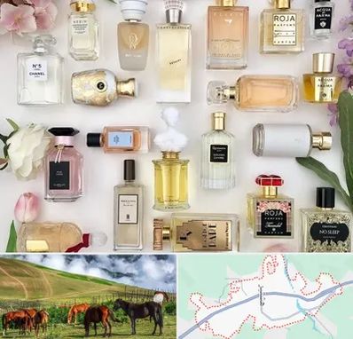 فروشگاه عطر اورجینال در تالش