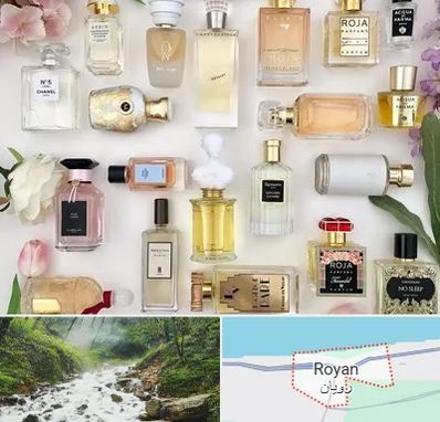 فروشگاه عطر اورجینال در رویان