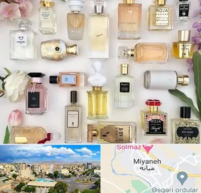 فروشگاه عطر اورجینال در میانه