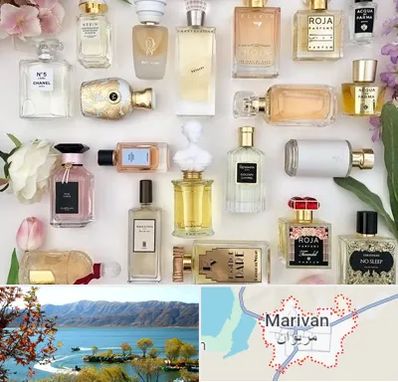 فروشگاه عطر اورجینال در مریوان