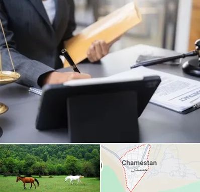 وکیل خانم در چمستان