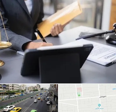 وکیل خانم در خیابان دامپزشکی