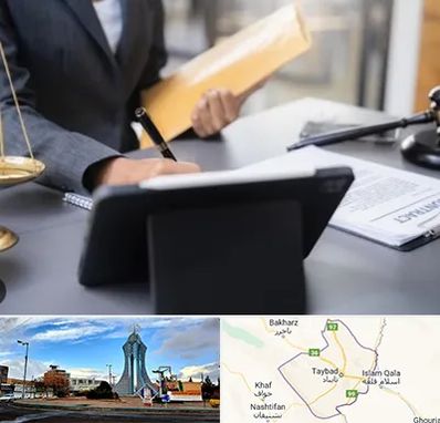 وکیل خانم در تایباد
