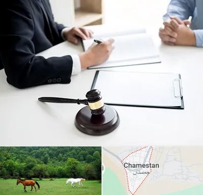 وکیل سرقت در چمستان