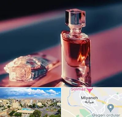 فروشگاه عطر اصل در میانه
