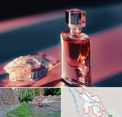 فروشگاه عطر اصل در سراوان