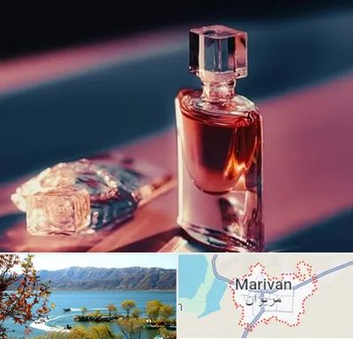 فروشگاه عطر اصل در مریوان