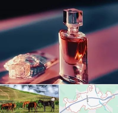 فروشگاه عطر اصل در تالش