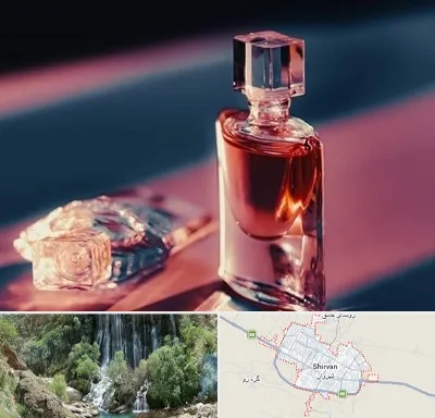 فروشگاه عطر اصل در شیروان