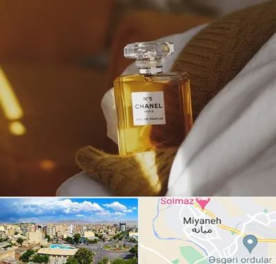 عطر فروشی در میانه