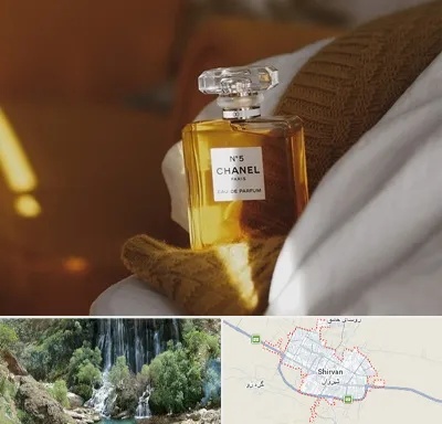 عطر فروشی در شیروان