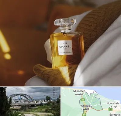 عطر فروشی در چالوس
