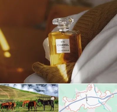 عطر فروشی در تالش