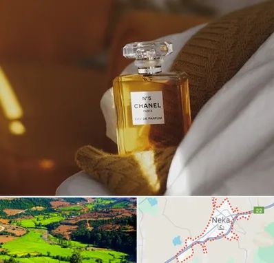عطر فروشی در نکا
