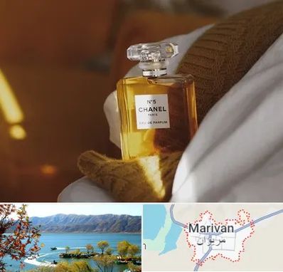 عطر فروشی در مریوان
