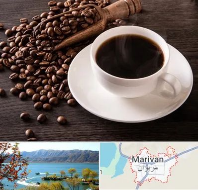 فروشگاه لوازم قهوه در مریوان