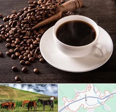 فروشگاه لوازم قهوه در تالش