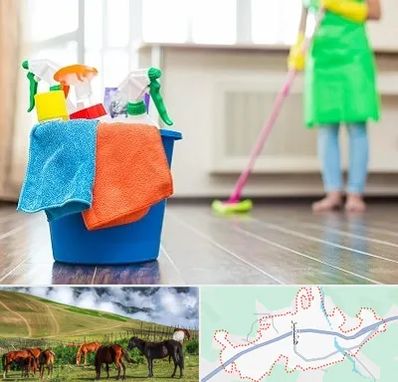 خدمات نظافت در تالش