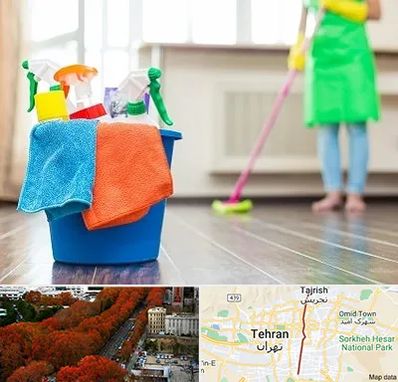 خدمات نظافت در ولیعصر