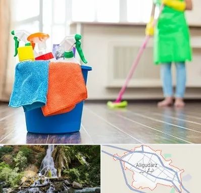 خدمات نظافت در الیگودرز