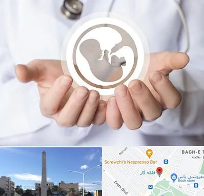 کلینیک ناباروری در فلکه گاز شیراز