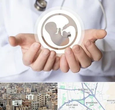 کلینیک ناباروری در جنوب شرق تهران