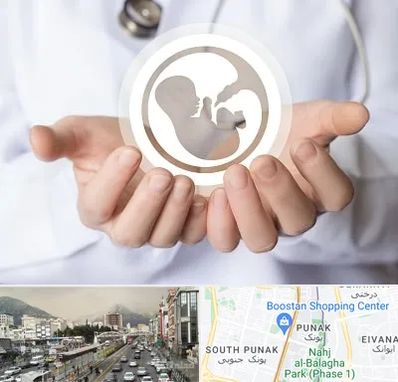 کلینیک ناباروری در پونک