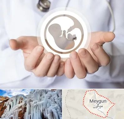 کلینیک ناباروری در میگون