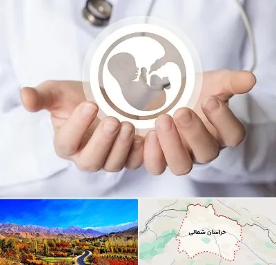 کلینیک ناباروری در خراسان شمالی