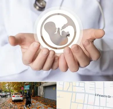 کلینیک ناباروری در خیابان فلسطین