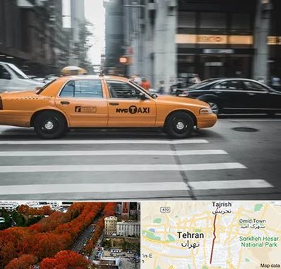 اجاره تاکسی با راننده در ولیعصر 