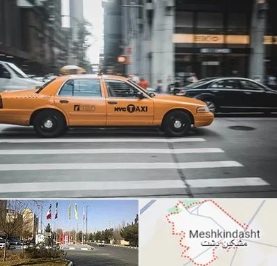 اجاره تاکسی با راننده در مشکین دشت