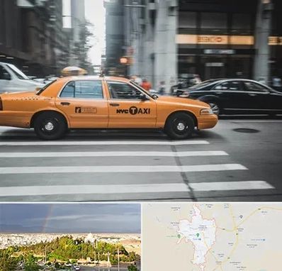 اجاره تاکسی با راننده در تربت حیدریه