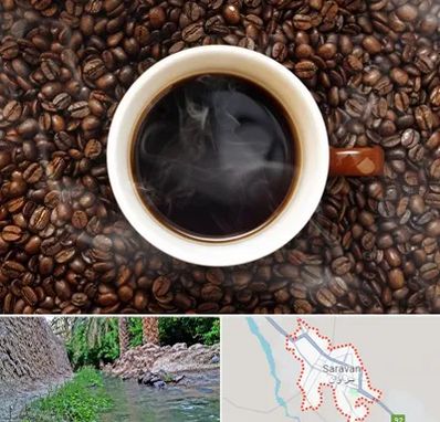 فروشگاه قهوه در سراوان