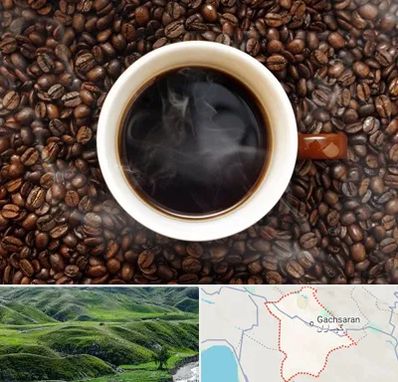 فروشگاه قهوه در گچساران
